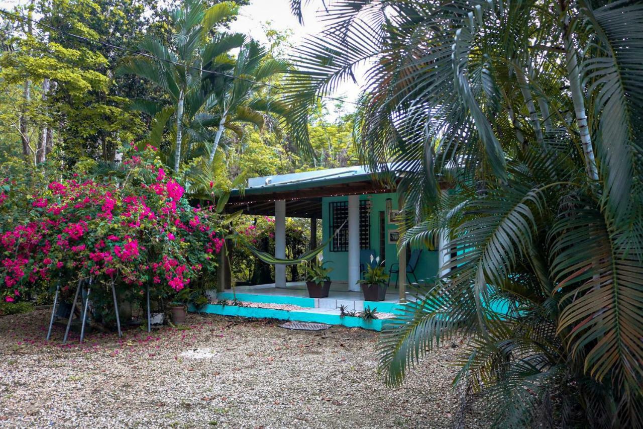 Вилла Rincon Blu Tropical House Экстерьер фото